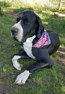 Annie-Memorial-Day-2020-(3)