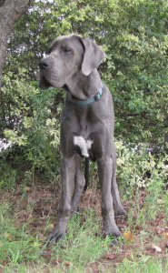 Kobalt-Margarejro-(6-months)-(1)