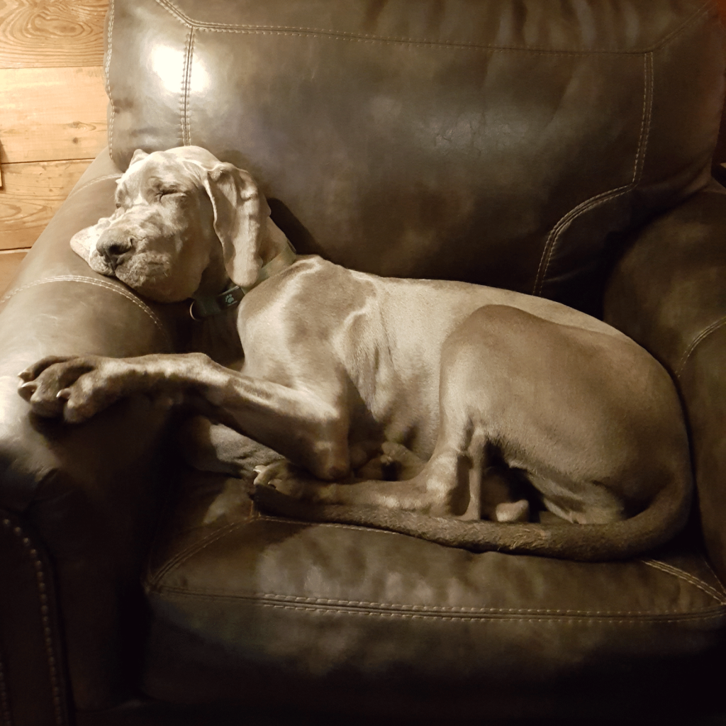 Liesel-in-Chair-6-mo