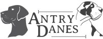 Antry Danes