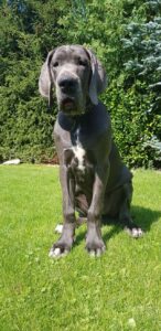 Victoria Blue 5 Months (10)
