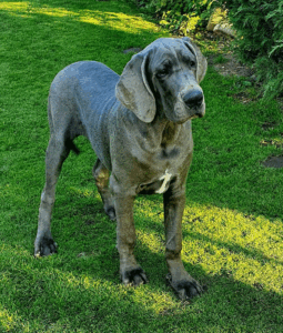 Zitta